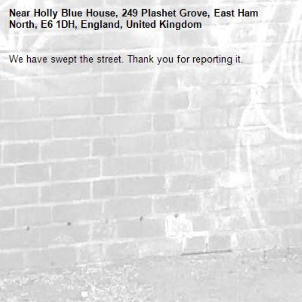 We have swept the street. Thank you for reporting it.-Holly Blue House, 249 Plashet Grove, East Ham North, E6 1DH, England, United Kingdom