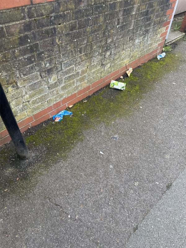 Bad littering -6A, Clinton Road, Forest Gate, London, E7 0HD