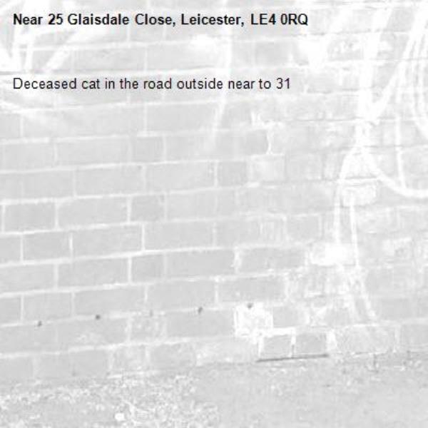 Deceased cat in the road outside near to 31-25 Glaisdale Close, Leicester, LE4 0RQ