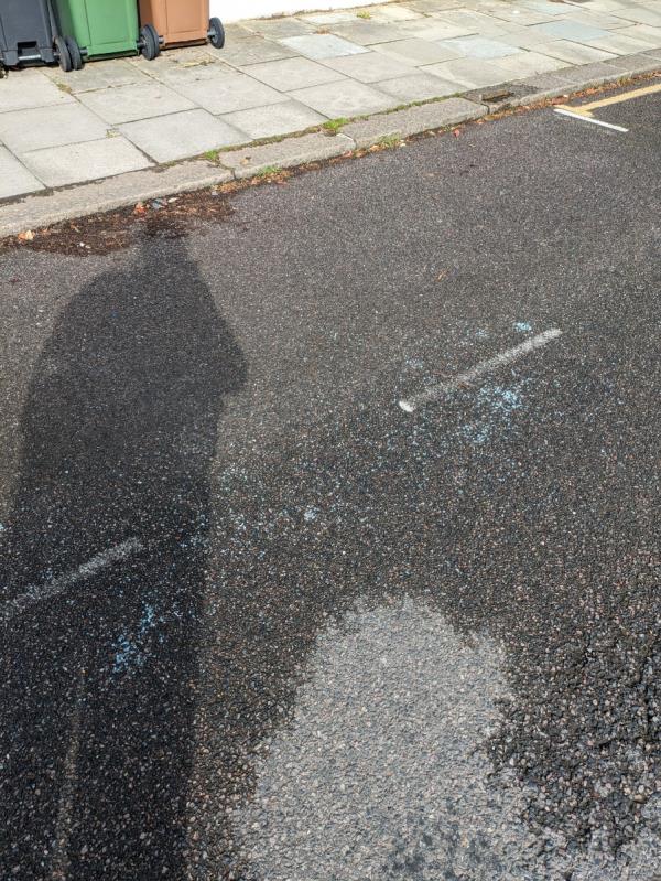 Broken glass in road-87A, Pascoe Road, London, SE13 5JE