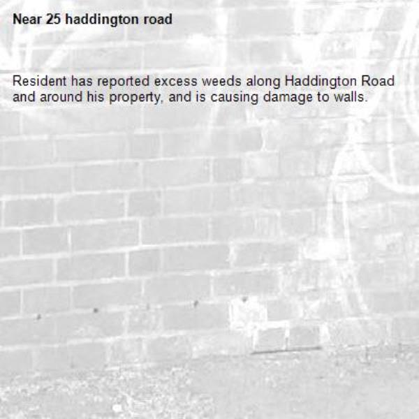 Resident has reported excess weeds along Haddington Road and around his property, and is causing damage to walls.-25 haddington road