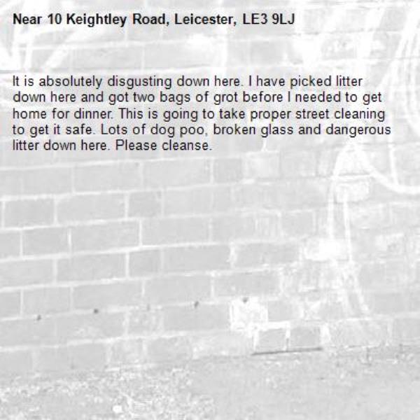 It is absolutely disgusting down here. I have picked litter down here and got two bags of grot before I needed to get home for dinner. This is going to take proper street cleaning to get it safe. Lots of dog poo, broken glass and dangerous litter down here. Please cleanse.-10 Keightley Road, Leicester, LE3 9LJ