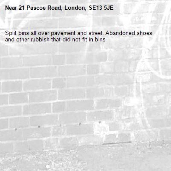 Split bins all over pavement and street. Abandoned shoes and other rubbish that did not fit in bins-21 Pascoe Road, London, SE13 5JE