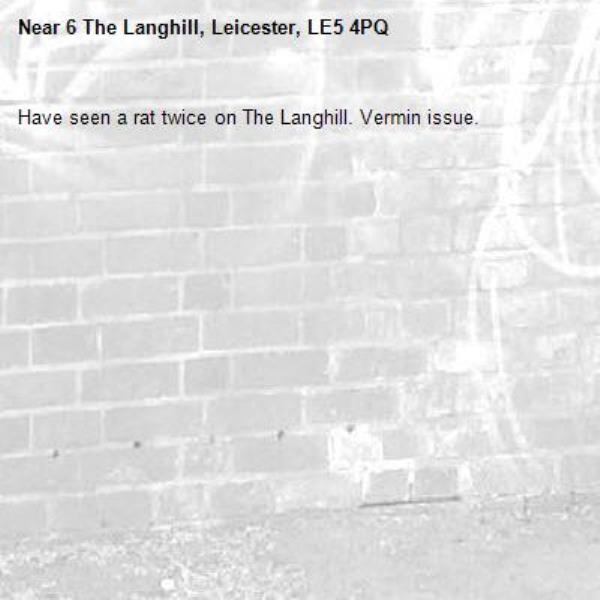 Have seen a rat twice on The Langhill. Vermin issue.-6 The Langhill, Leicester, LE5 4PQ