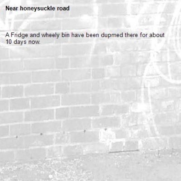 A Fridge and wheely bin have been dupmed there for about 10 days now.-honeysuckle road