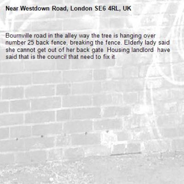 Bournville road in the alley way the tree is hanging over number 25 back fence, breaking the fence. Elderly lady said she cannot get out of her back gate  Housing landlord  have said that is the council that need to fix it. -Westdown Road, London SE6 4RL, UK