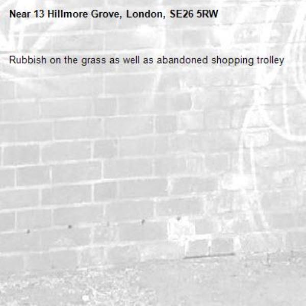 Rubbish on the grass as well as abandoned shopping trolley-13 Hillmore Grove, London, SE26 5RW