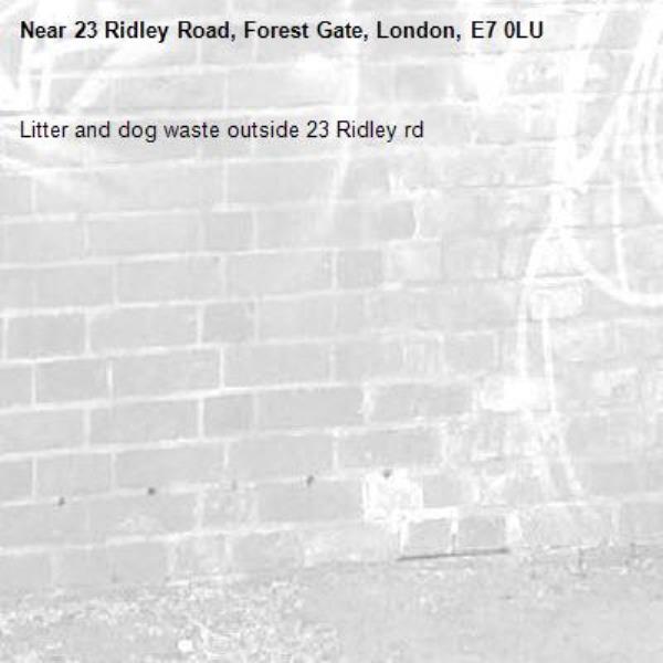 Litter and dog waste outside 23 Ridley rd -23 Ridley Road, Forest Gate, London, E7 0LU