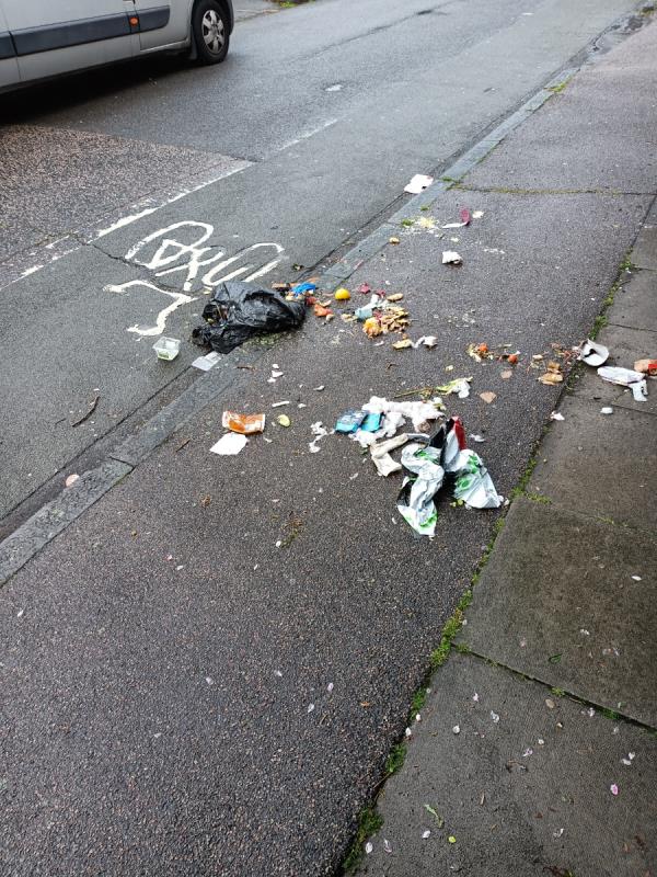 Flytipped refuse sacks has been pulled apart and the contents are now all over the pavement. Near 130 Conisborough Crescent -128 Conisborough Crescent, London, SE6 2SH