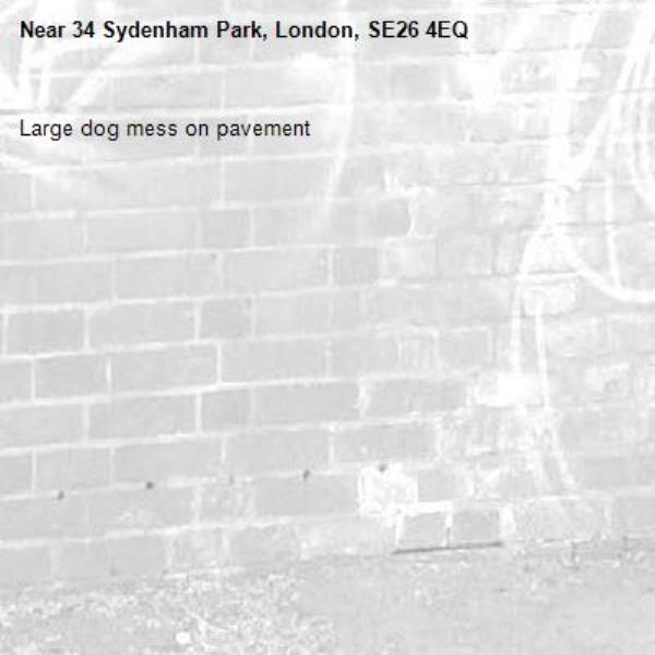 Large dog mess on pavement -34 Sydenham Park, London, SE26 4EQ
