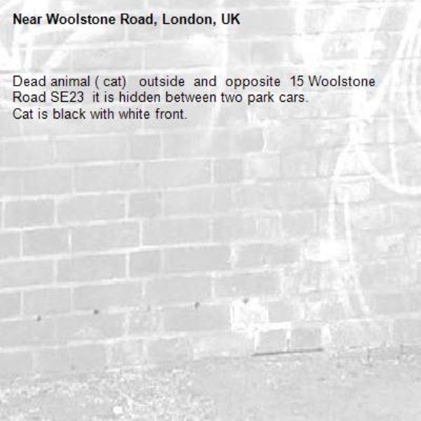 Dead animal ( cat)   outside  and  opposite  15 Woolstone Road SE23  it is hidden between two park cars.
Cat is black with white front.-Woolstone Road, London, UK