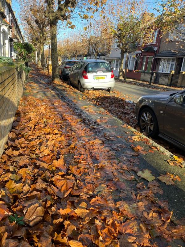 Huge amount of leaves fallen from the many trees on our street - These have not been sweeped in over a week and they are now covering the cars and roads. 
-61A, Bolton Road, Stratford, London, E15 4JY
