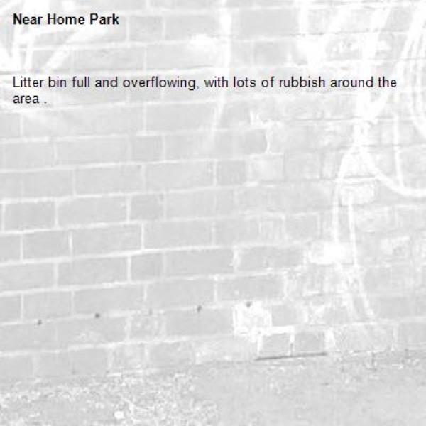 Litter bin full and overflowing, with lots of rubbish around the area .-Home Park