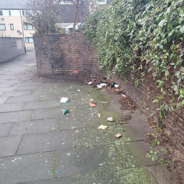 Please can you arrange to have this alleyway at Seaton Road swept and cleared of litter including broken glass. This has been like this for at least 3 months. The broken glass is a hazard and this is a walkway that parents and children us to access Ravenscroft School.-17a Frank Street, Canning Town South, E13 8JG, England, United Kingdom