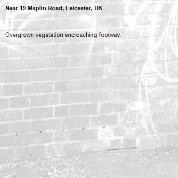 Overgrown vegetation encroaching footway.-19 Maplin Road, Leicester, UK