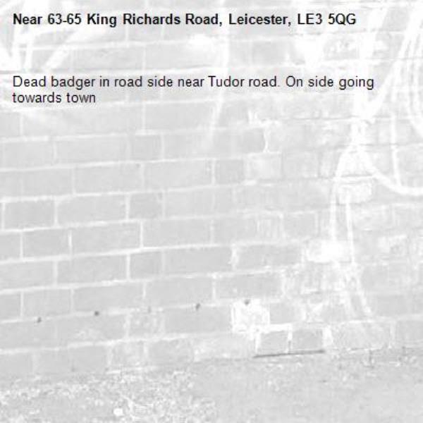 Dead badger in road side near Tudor road. On side going towards town -63-65 King Richards Road, Leicester, LE3 5QG