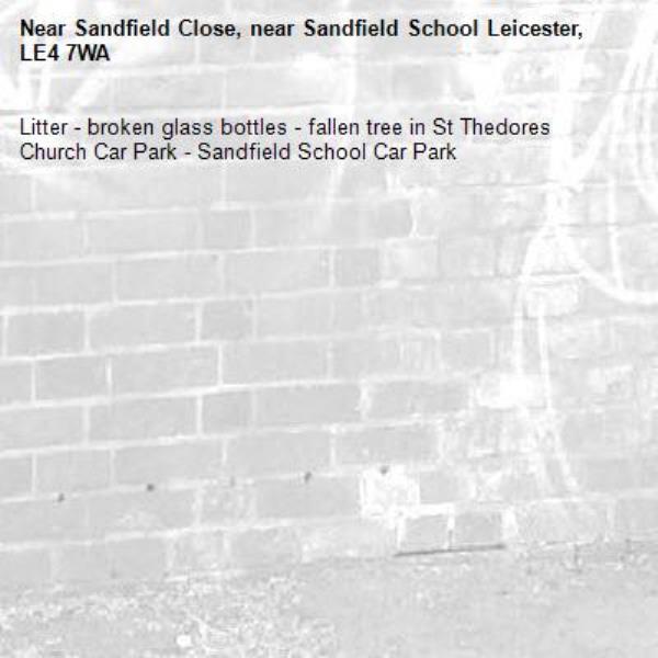 Litter - broken glass bottles - fallen tree in St Thedores Church Car Park - Sandfield School Car Park -Sandfield Close, near Sandfield School Leicester, LE4 7WA