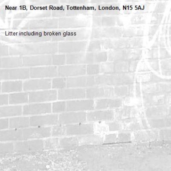 Litter including broken glass-1B, Dorset Road, Tottenham, London, N15 5AJ