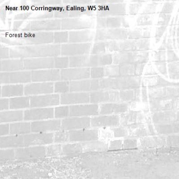 Forest bike-100 Corringway, Ealing, W5 3HA