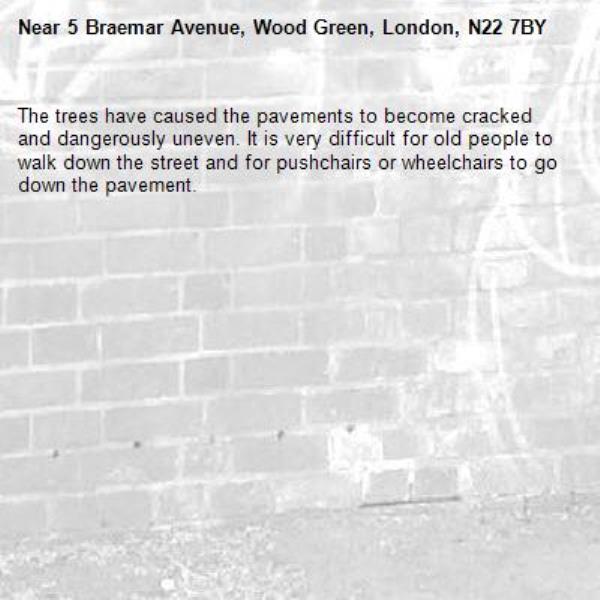 The trees have caused the pavements to become cracked and dangerously uneven. It is very difficult for old people to walk down the street and for pushchairs or wheelchairs to go down the pavement. -5 Braemar Avenue, Wood Green, London, N22 7BY