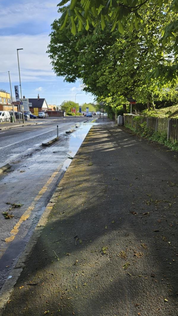 Gunk from trees regularly makes the aylestone road cycle lane slippery and dangerous. It also blocks drain to cause a massive puddle as per pictures. This needs the drain unblocking and regular road sweeping or the trees to be cut back. -Aylestone Road, Leicester