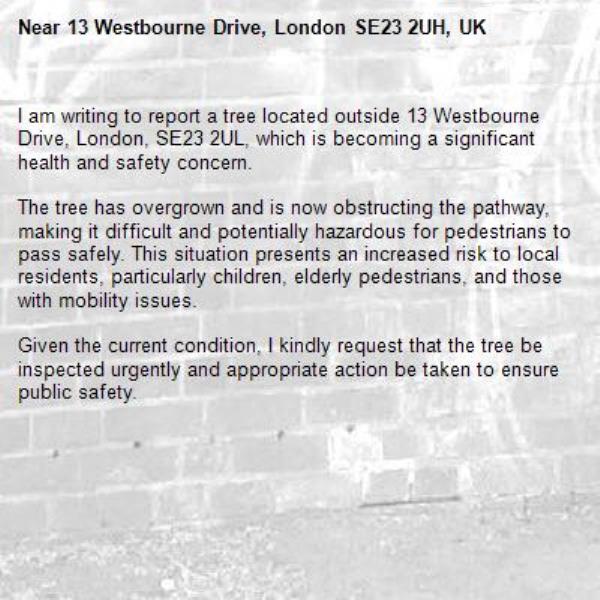 I am writing to report a tree located outside 13 Westbourne Drive, London, SE23 2UL, which is becoming a significant health and safety concern.

The tree has overgrown and is now obstructing the pathway, making it difficult and potentially hazardous for pedestrians to pass safely. This situation presents an increased risk to local residents, particularly children, elderly pedestrians, and those with mobility issues.

Given the current condition, I kindly request that the tree be inspected urgently and appropriate action be taken to ensure public safety.-13 Westbourne Drive, London SE23 2UH, UK