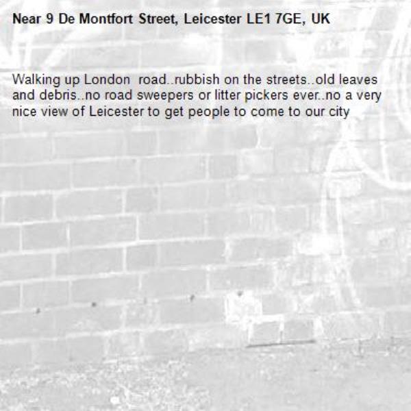 Walking up London  road..rubbish on the streets..old leaves and debris..no road sweepers or litter pickers ever..no a very nice view of Leicester to get people to come to our city-9 De Montfort Street, Leicester LE1 7GE, UK
