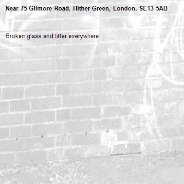 Broken glass and litter everywhere -75 Gilmore Road, Hither Green, London, SE13 5AB