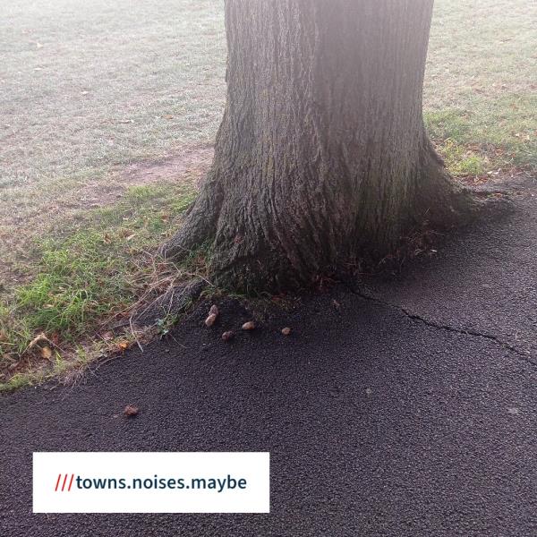 Dog fouling on the footpath on Victoria Park. Actual What3words location in the image. -132 Victoria Park Road, Castle, LE2 1XB, England, United Kingdom