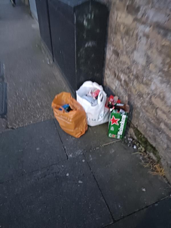Bags of rubbish down from 112 burges near garage-105 Burges Road, East Ham, London, E6 2BL
