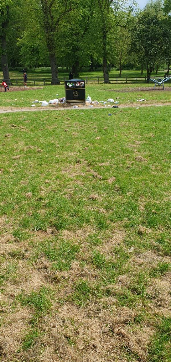 Over flowing bins as a result of only 1 bin present in the whole of the kids play area, which is very large-Humberstone Park
