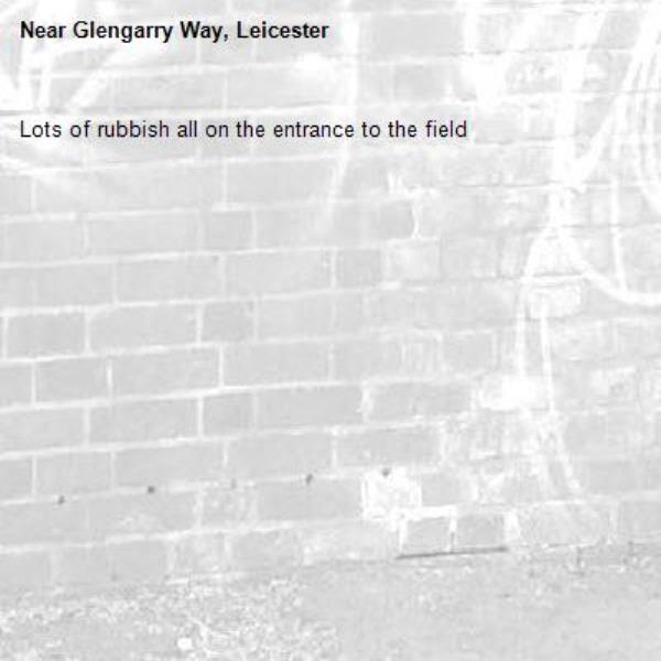 Lots of rubbish all on the entrance to the field -Glengarry Way, Leicester
