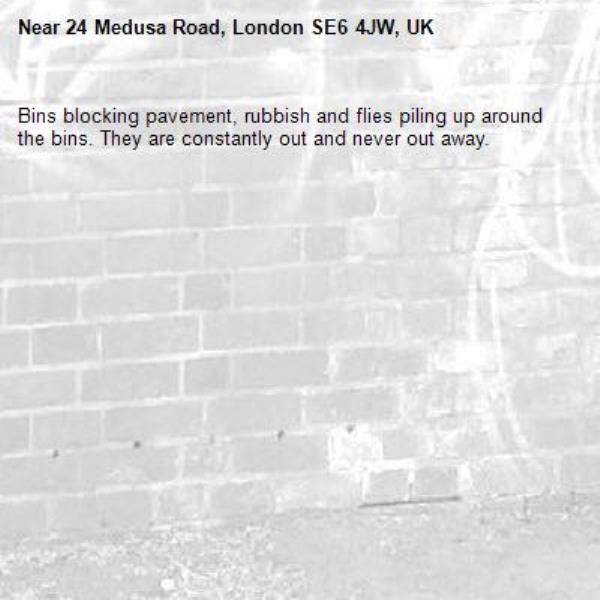 Bins blocking pavement, rubbish and flies piling up around the bins. They are constantly out and never out away. -24 Medusa Road, London SE6 4JW, UK