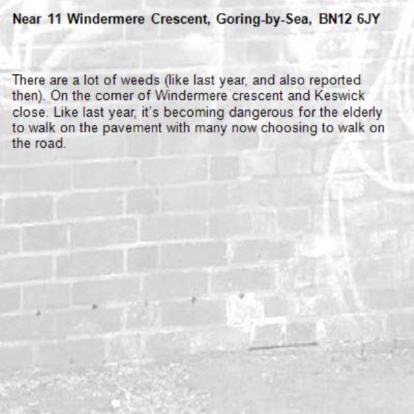 There are a lot of weeds (like last year, and also reported then). On the corner of Windermere crescent and Keswick close. Like last year, it’s becoming dangerous for the elderly to walk on the pavement with many now choosing to walk on the road.-11 Windermere Crescent, Goring-by-Sea, BN12 6JY
