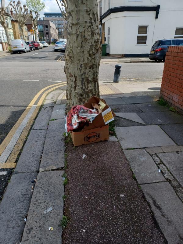 Cardboard boxes fly tipped at 17 Walton Road, E13. -17 Walton Road, Upton Park, London, E13 9BW