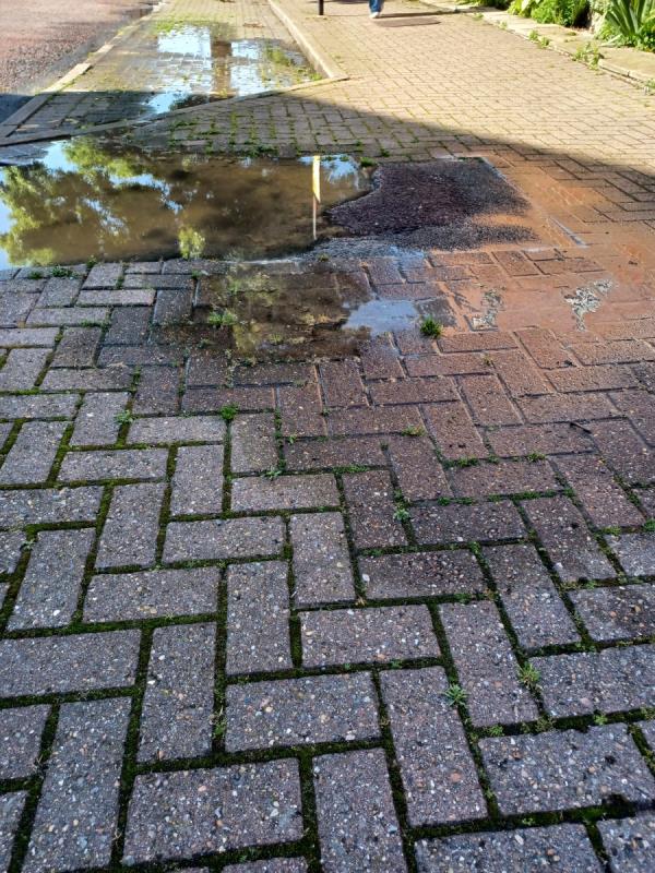 Can the council arrange for  Thames Water to  repair a broken  water  main in Valiant Way Beckton  by entrance to  Peridot Street Beckton. Thanks -62 Peridot Street, Beckton, London, E6 5LZ