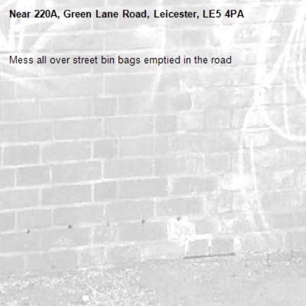 Mess all over street bin bags emptied in the road -220A, Green Lane Road, Leicester, LE5 4PA