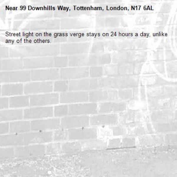 Street light on the grass verge stays on 24 hours a day, unlike any of the others. -99 Downhills Way, Tottenham, London, N17 6AL