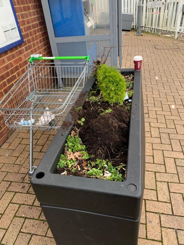 Shopping trolley abandoned for over 1 week and flower planter used as ashtray and plants vandalised-37 Farnborough Street, Farnborough, GU14 8AG