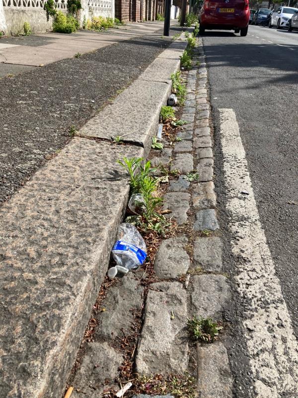 Our street is disgusting. Litter and weeds everywhere. When the recycling is collected litter spills all over the streets and is just left behind for the residents to live with. Our street needs regular cleaning and weeds need killing. -18 Patrick Road, Plaistow, E13 9QA