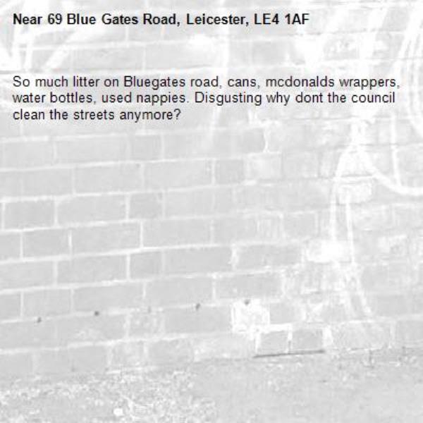So much litter on Bluegates road, cans, mcdonalds wrappers, water bottles, used nappies. Disgusting why dont the council clean the streets anymore?-69 Blue Gates Road, Leicester, LE4 1AF