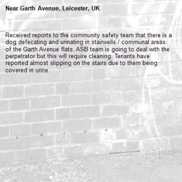 Received reports to the community safety team that there is a dog defecating and urinating in stairwells / communal areas of the Garth Avenue flats. ASB team is going to deal with the perpetrator but this will require cleaning. Tenants have reported almost slipping on the stairs due to them being covered in urine. -Garth Avenue, Leicester, UK