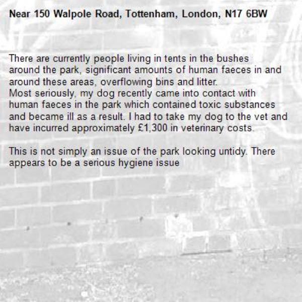 There are currently people living in tents in the bushes around the park, significant amounts of human faeces in and around these areas, overflowing bins and litter. 
Most seriously, my dog recently came into contact with human faeces in the park which contained toxic substances and became ill as a result. I had to take my dog to the vet and have incurred approximately £1,300 in veterinary costs.

This is not simply an issue of the park looking untidy. There appears to be a serious hygiene issue-150 Walpole Road, Tottenham, London, N17 6BW