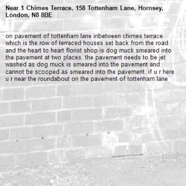 on pavement of tottenham lane inbetween chimes terrace which is the row of terraced houses set back from the road and the heart to heart florist shop is dog muck smeared into the pavement at two places. the pavement needs to be jet washed as dog muck is smeared into the pavement and cannot be scooped as smeared into the pavement. if u r here u r near the roundabout on the pavement of tottenham lane-1 Chimes Terrace, 158 Tottenham Lane, Hornsey, London, N8 8BE
