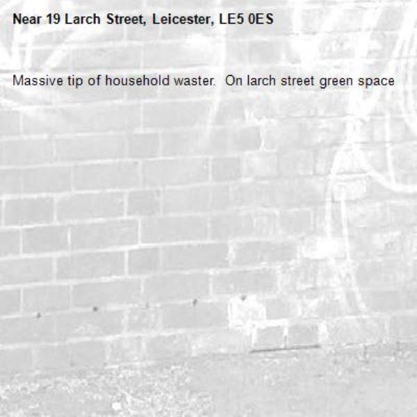 Massive tip of household waster.  On larch street green space -19 Larch Street, Leicester, LE5 0ES