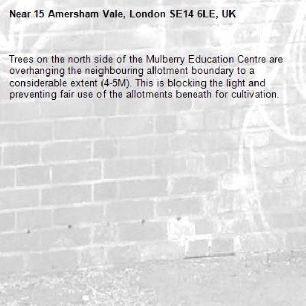 Trees on the north side of the Mulberry Education Centre are overhanging the neighbouring allotment boundary to a considerable extent (4-5M). This is blocking the light and preventing fair use of the allotments beneath for cultivation. -15 Amersham Vale, London SE14 6LE, UK