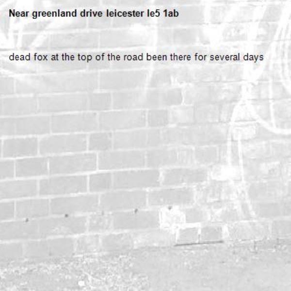 dead fox at the top of the road been there for several days-greenland drive leicester le5 1ab