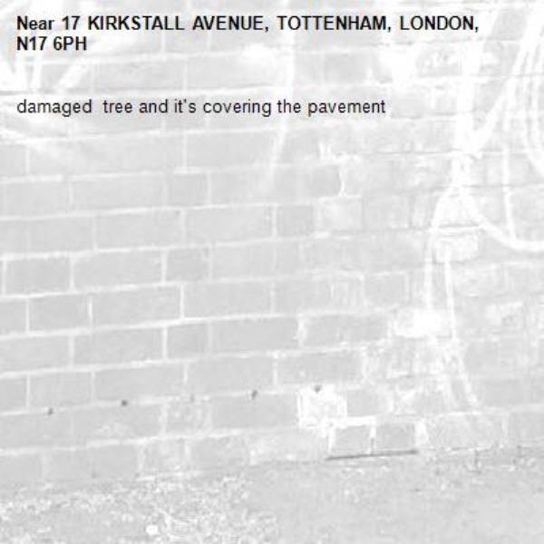damaged  tree and it's covering the pavement -17 KIRKSTALL AVENUE, TOTTENHAM, LONDON, N17 6PH