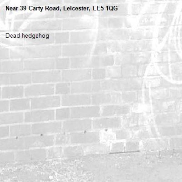 Dead hedgehog-39 Carty Road, Leicester, LE5 1QG