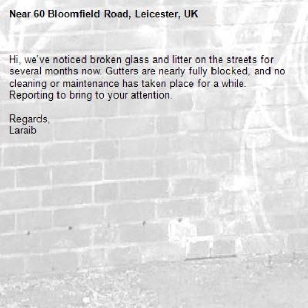 Hi, we've noticed broken glass and litter on the streets for several months now. Gutters are nearly fully blocked, and no cleaning or maintenance has taken place for a while. 
Reporting to bring to your attention. 

Regards, 
Laraib
-60 Bloomfield Road, Leicester, UK